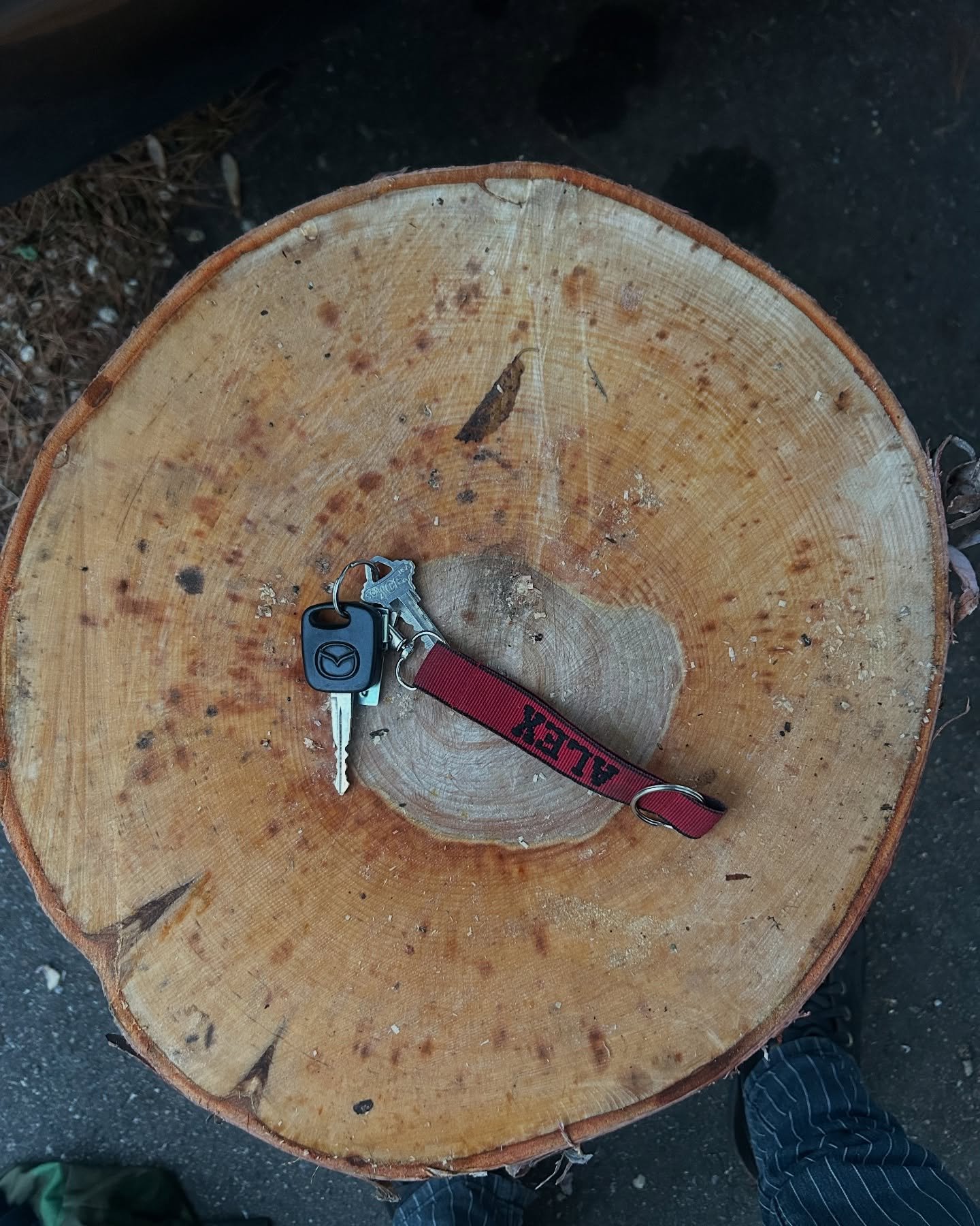 Such nice birch!

There&rsquo;s some spots open in my pre event kuksa carving class at @thespoongathering next week. Come carve some mighty cups from some mighty birch at a mighty fest!
