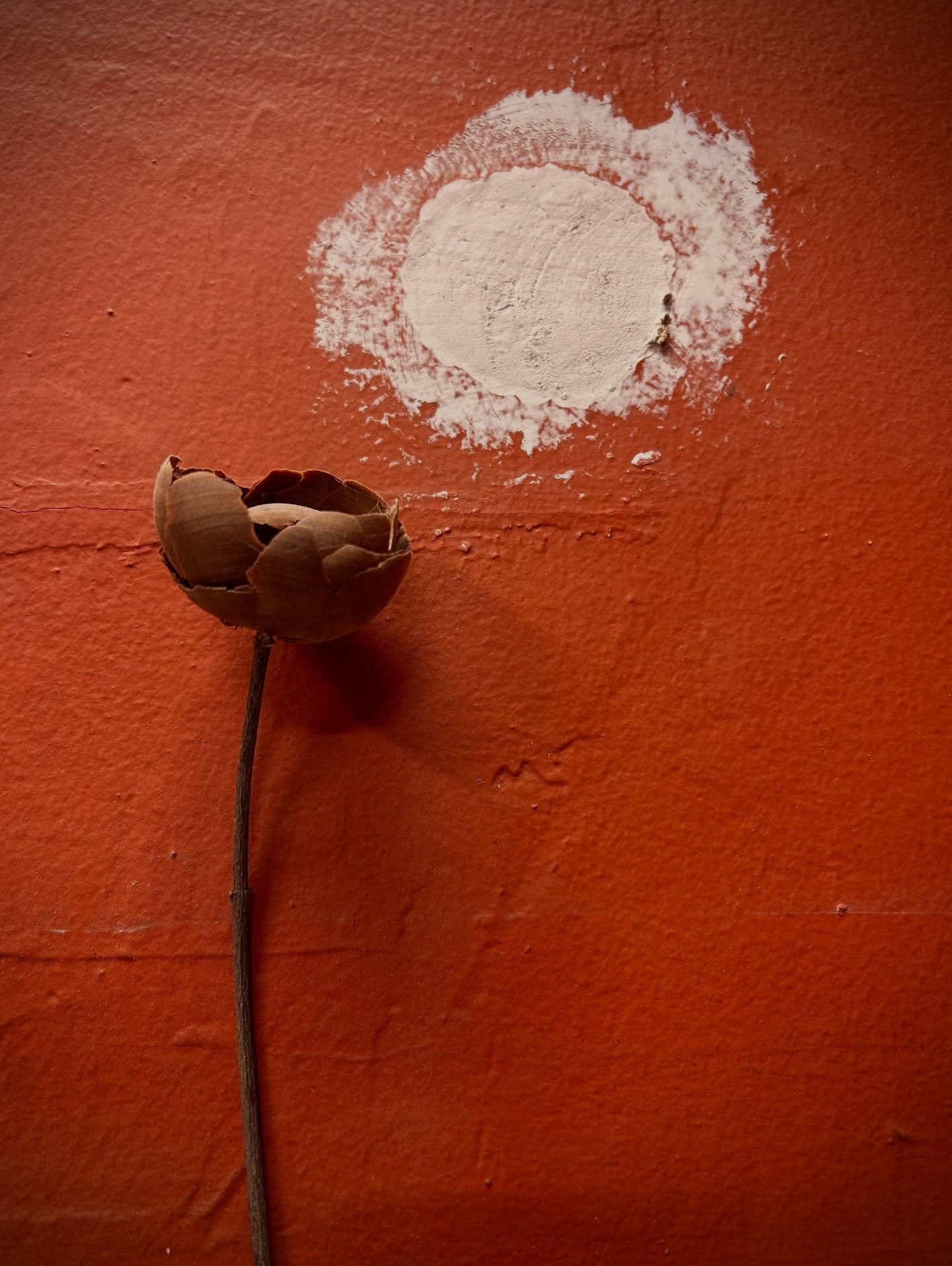I forgot I stuck this kuksa flower here at @milan_village_arts_school years ago. There&rsquo;s some spackle repair spots on the drywall and I thought it looked like the sun.

I like to sneak these little gifts in at places I like.