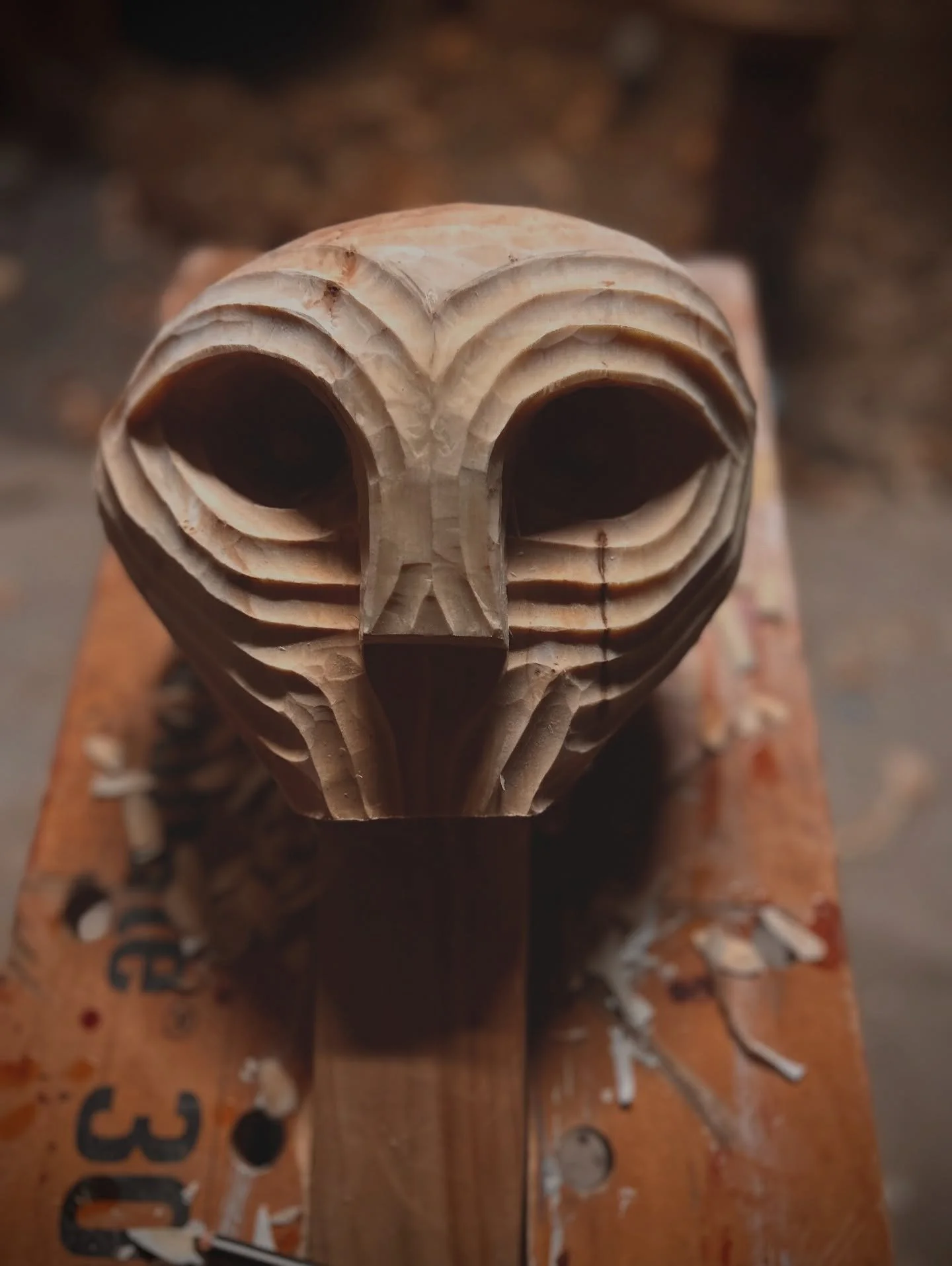 I&rsquo;ve had the big willow log staring at me since I got back. I decided I needed to carve a very large head for this sculpture I&rsquo;ve been tinkering with in small scale.

Carving with an axe is so freeing and fun. The log I used is around two