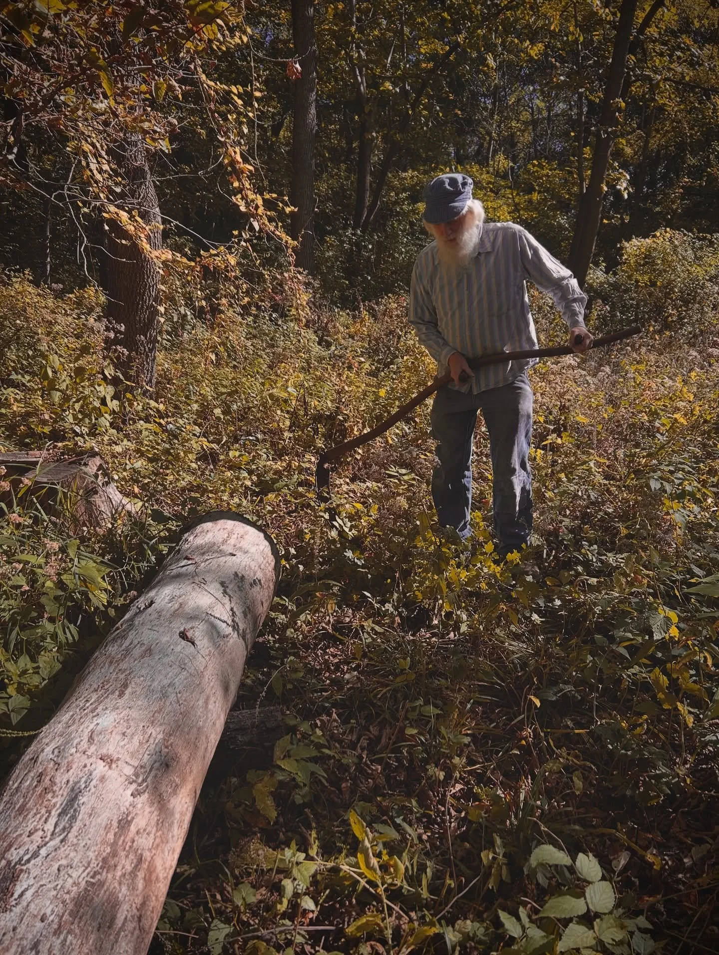Adventures with Tom Latane continued..

The next day after the demonstrations at the armor museum. Tom, Todd and I decided to live Saturday like a group of shipwrights. Tom had a big red oak tree down for a while and wanted to make a beam out of it. 