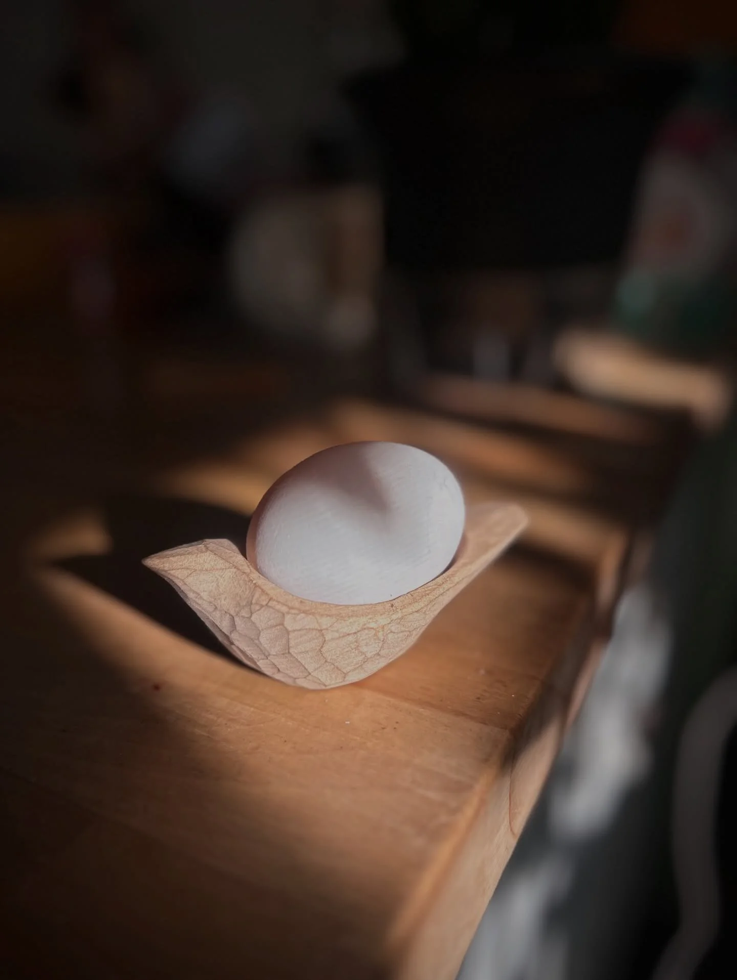 The shadows grow longer. I love this time of year watching the sun change its angle in the sky. In a couple months the days will be shorter and those shadows so contrasty and long. 

I carved this egg bird (just made that name up) years ago hanging o