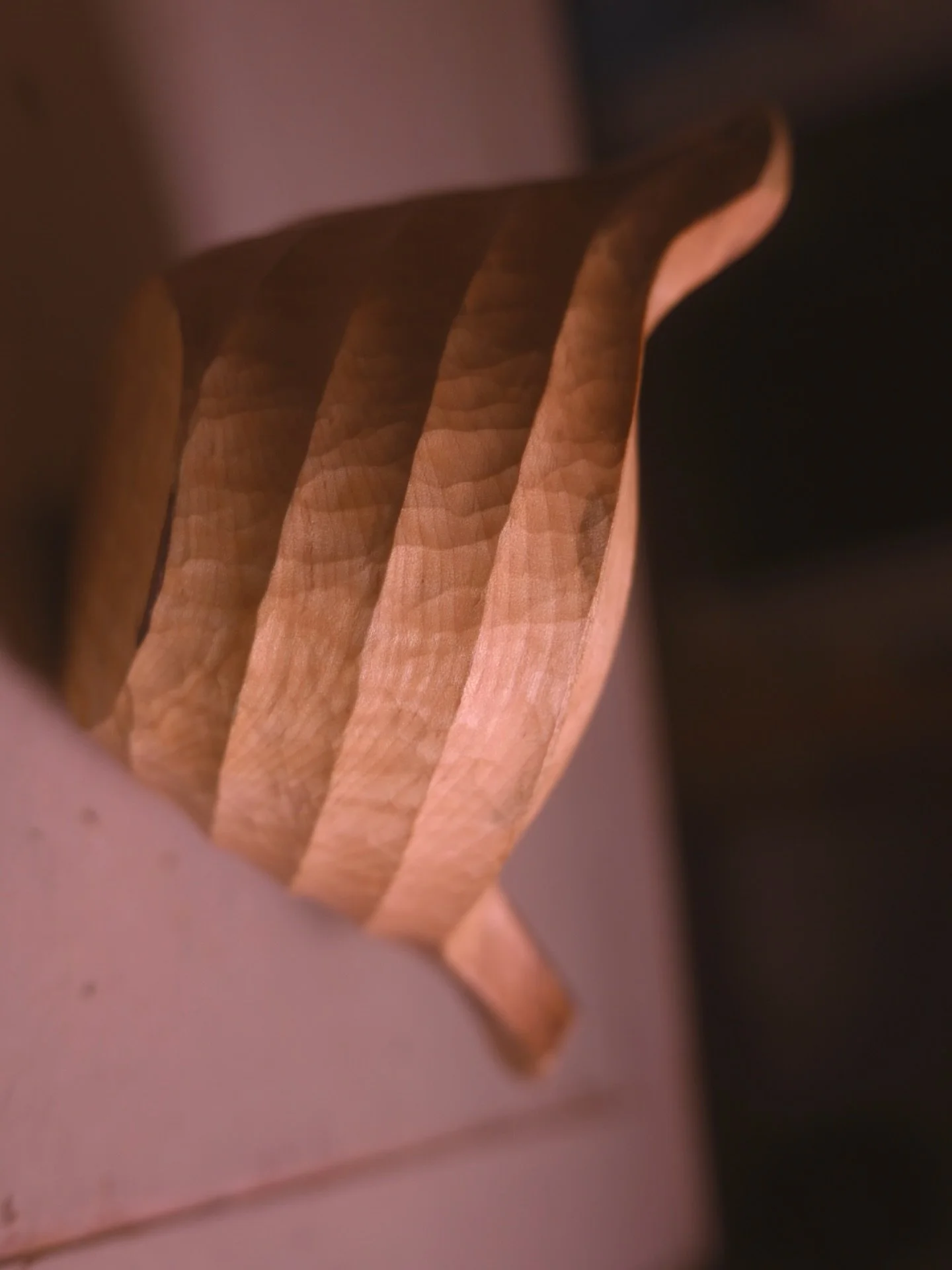 Another story

I carved this two headed vessel a while back. It might as well have been carved in granite. Maple can be hard to persuade sometimes.

I&rsquo;ve always been fascinated with leading lines and how facets are like mountain peaks. The divi