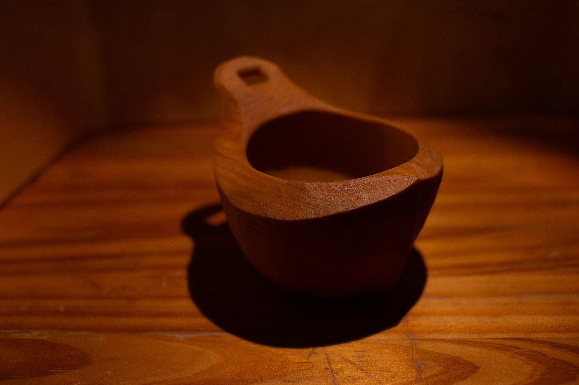 _DSC0737.jpg