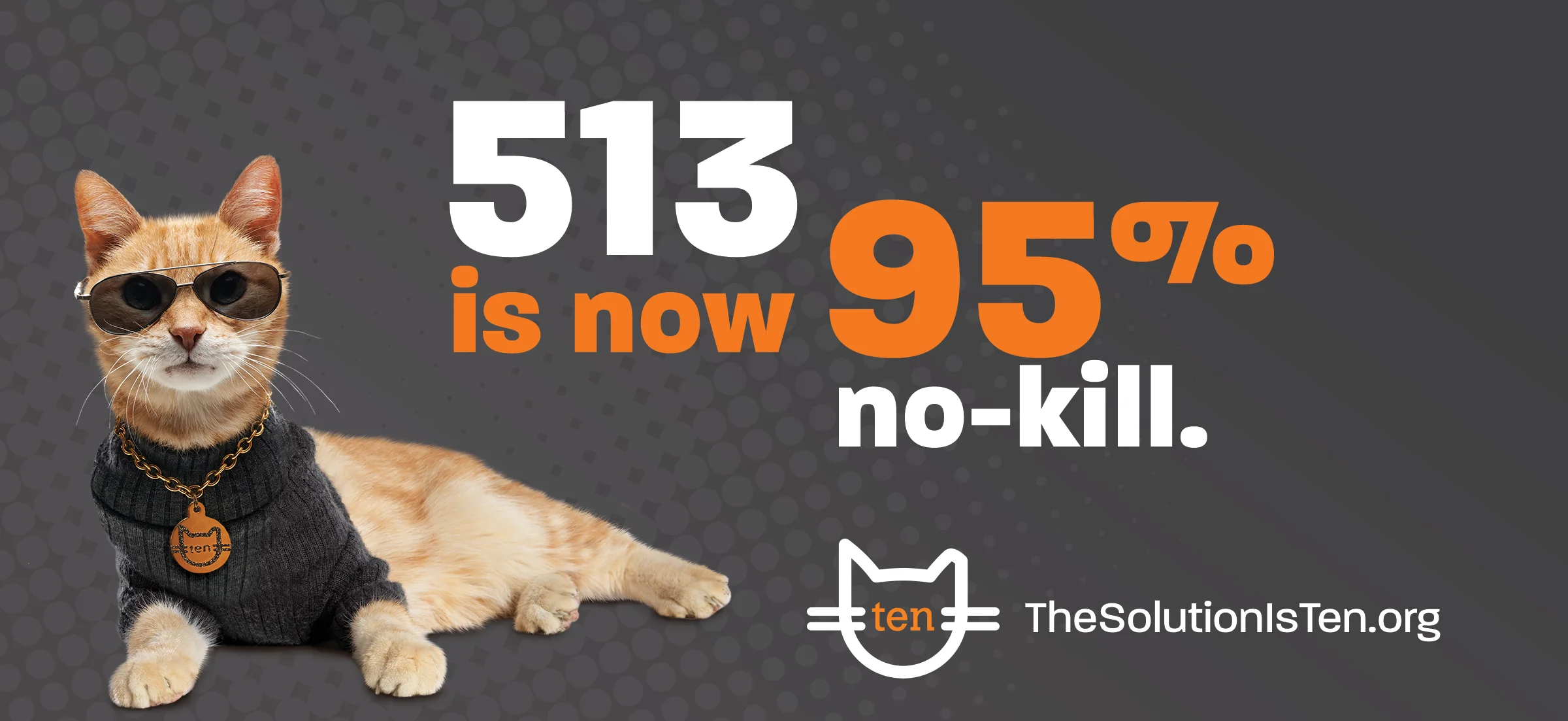 In 2014, only one out of three cats made it out of shelters alive. Now, thanks to our efforts, only one out of 20 cats is euthanized.
