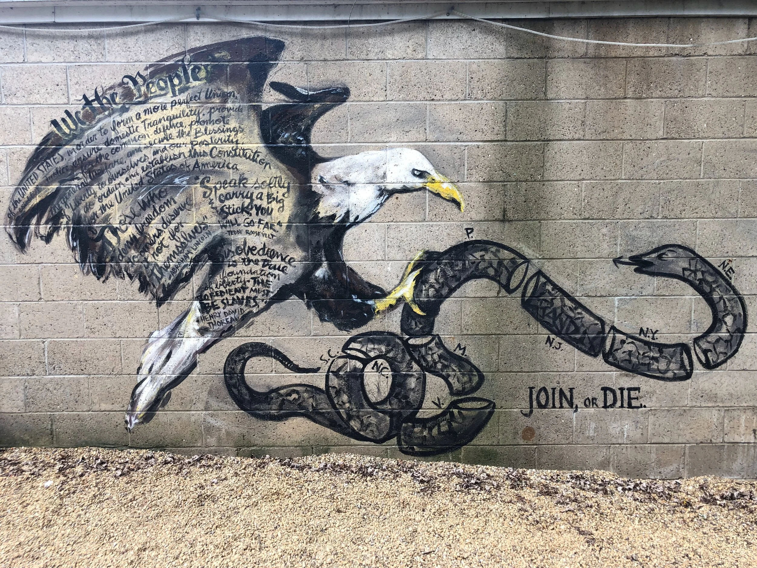 Patriotic Exterior Garage Mural