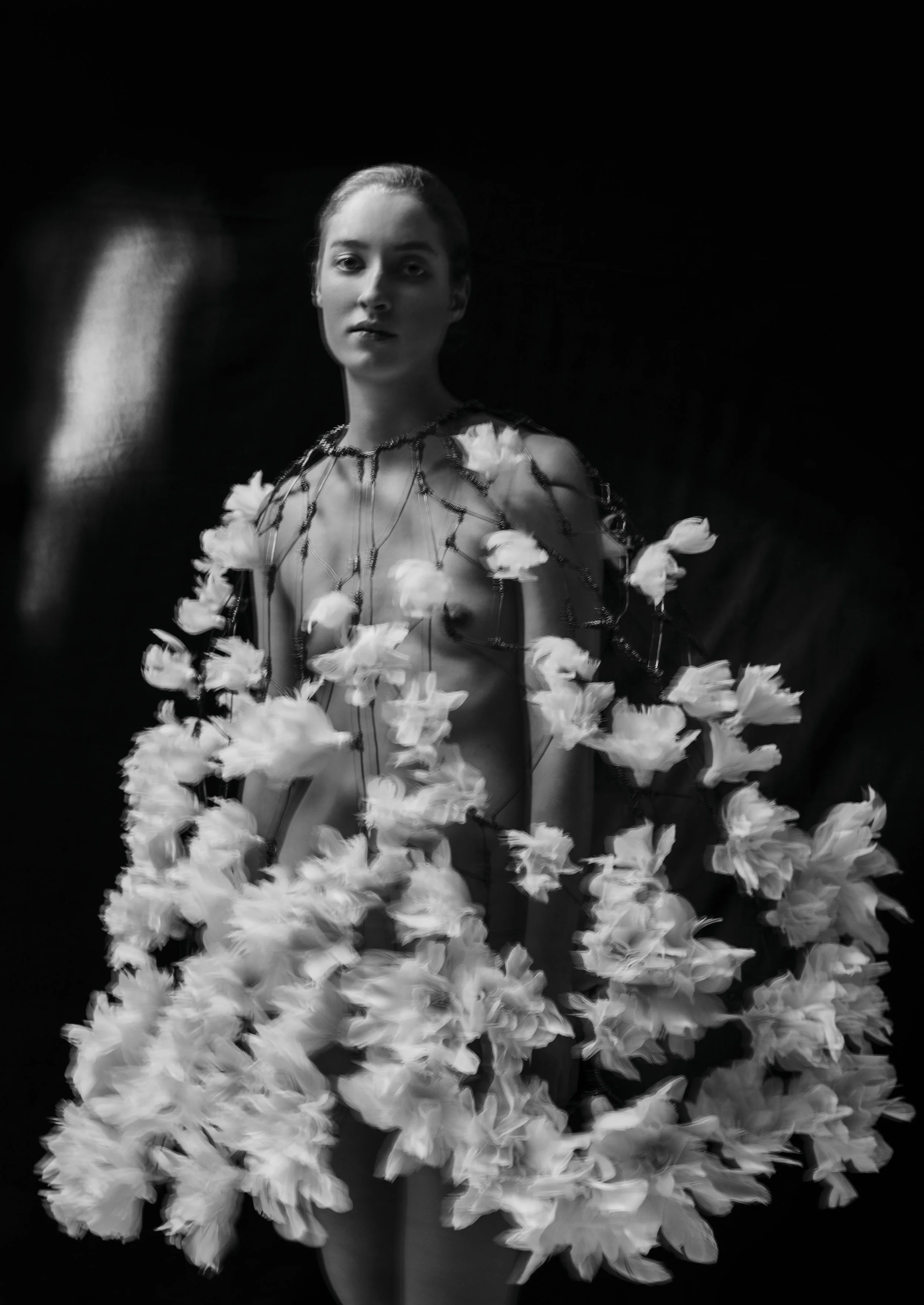 THE_FEATHER_FLOWER.jpg