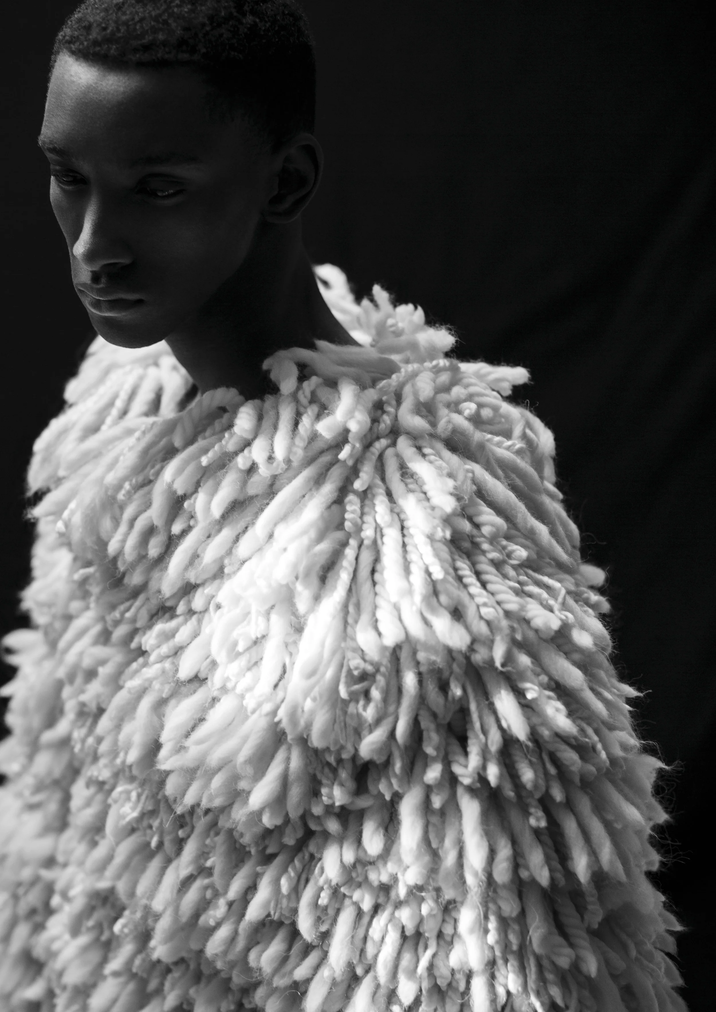 THE_FLEECE.jpg