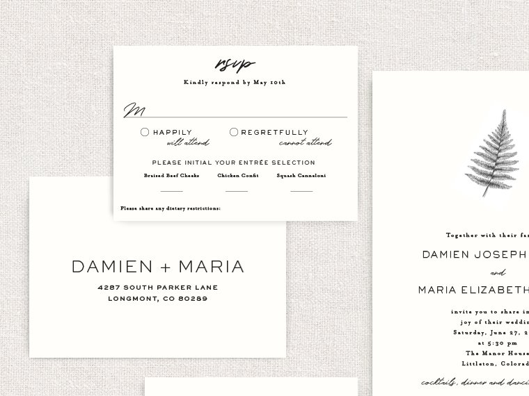 Simple-Fern-zoom-Paper-Girl-Creative-Wedding-Invitation.jpg