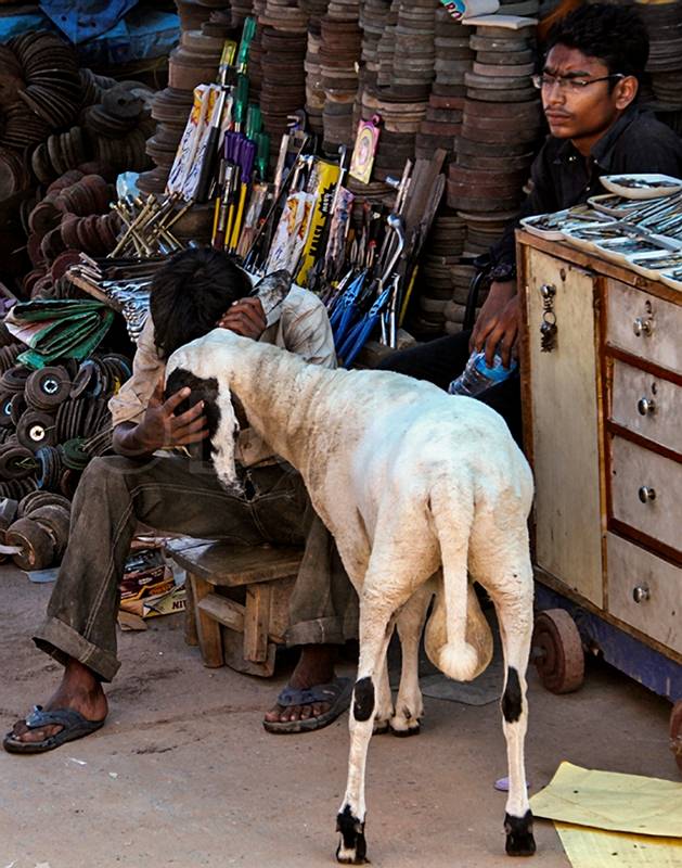 2011 Delhi Chandri Chowk Bazaar.jpg