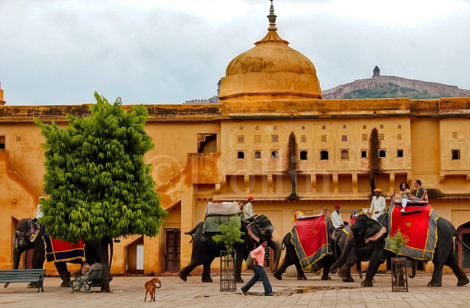 2011 Jaipur Amber Palace.jpg