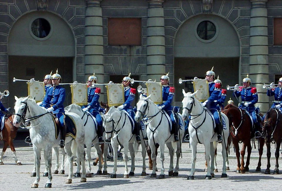 Horse Guard.jpg