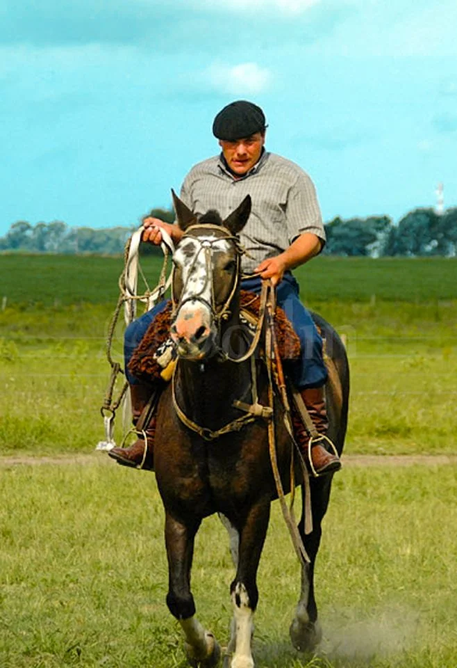 Argentine_Gaucho.jpg