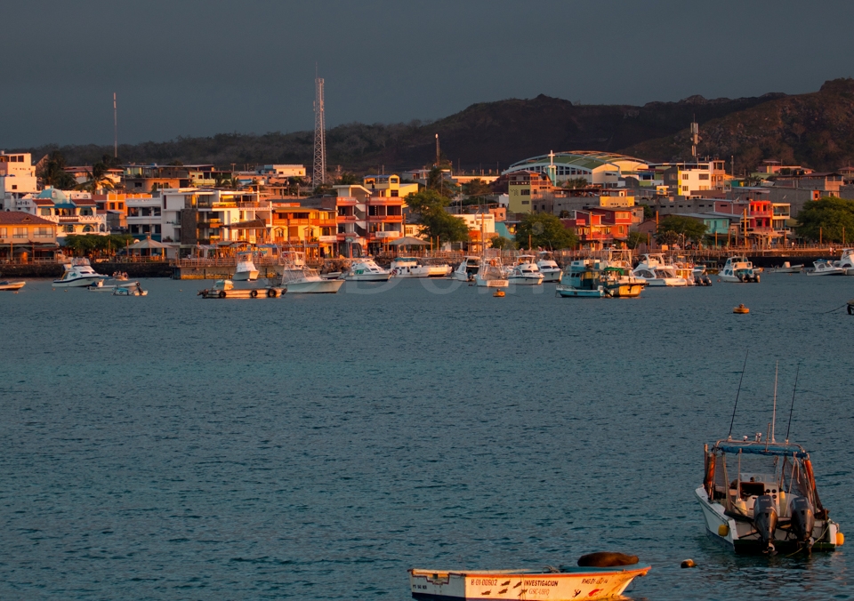 Santa Cruz Port