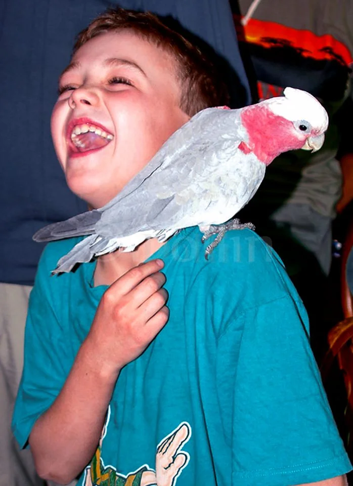 Boy with bird.jpg