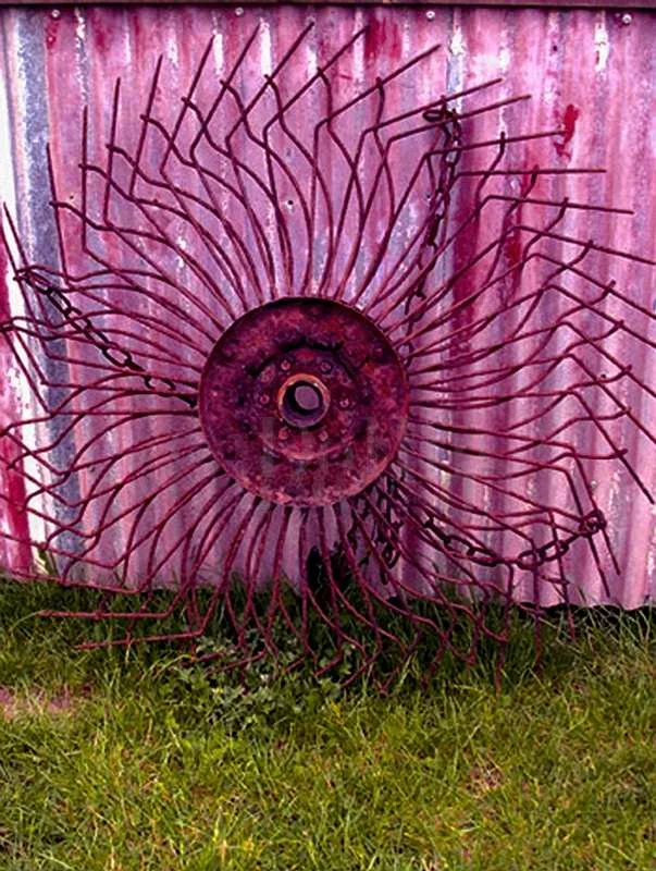 emu-ridge-art.jpg
