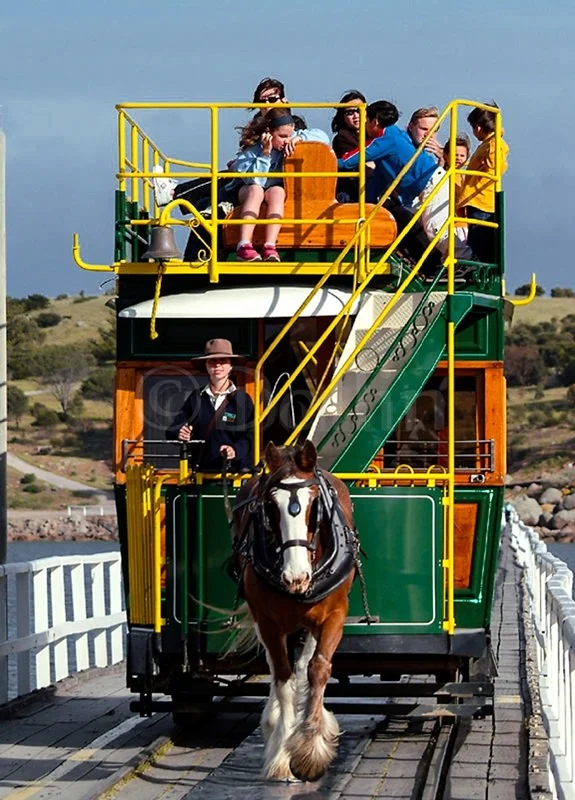 victor-harbor-tram.jpg