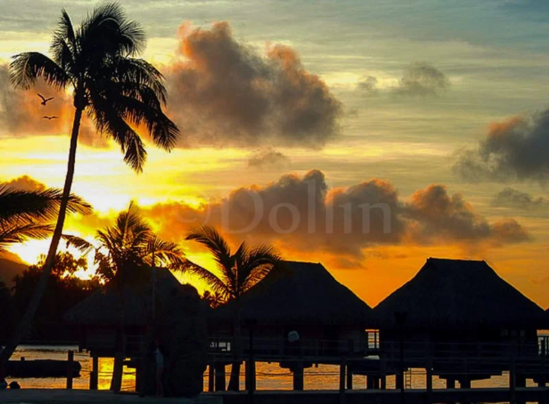 tahiti-sunset.jpg
