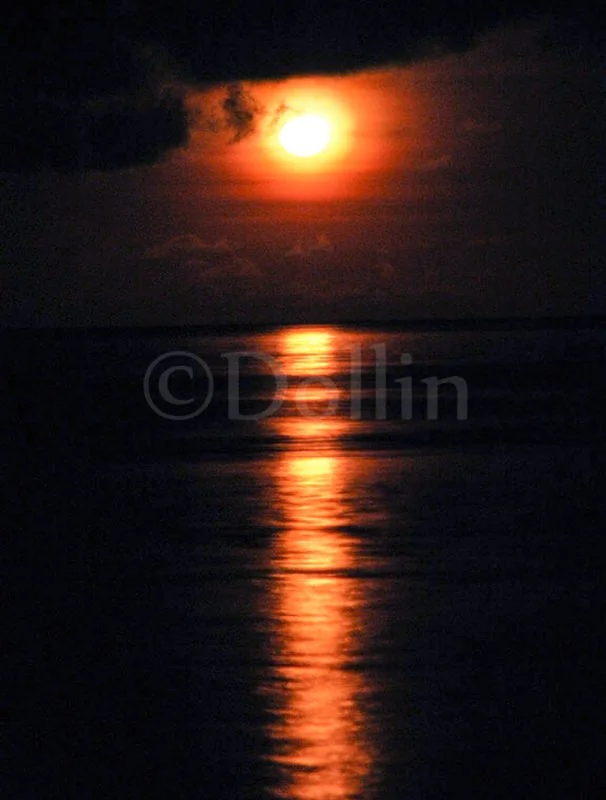 moorea-moonshine.jpg