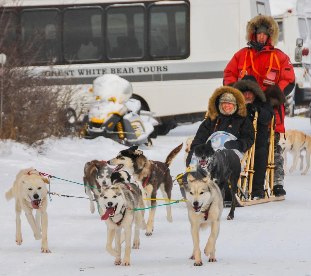 Churchill Dog Sled.jpg