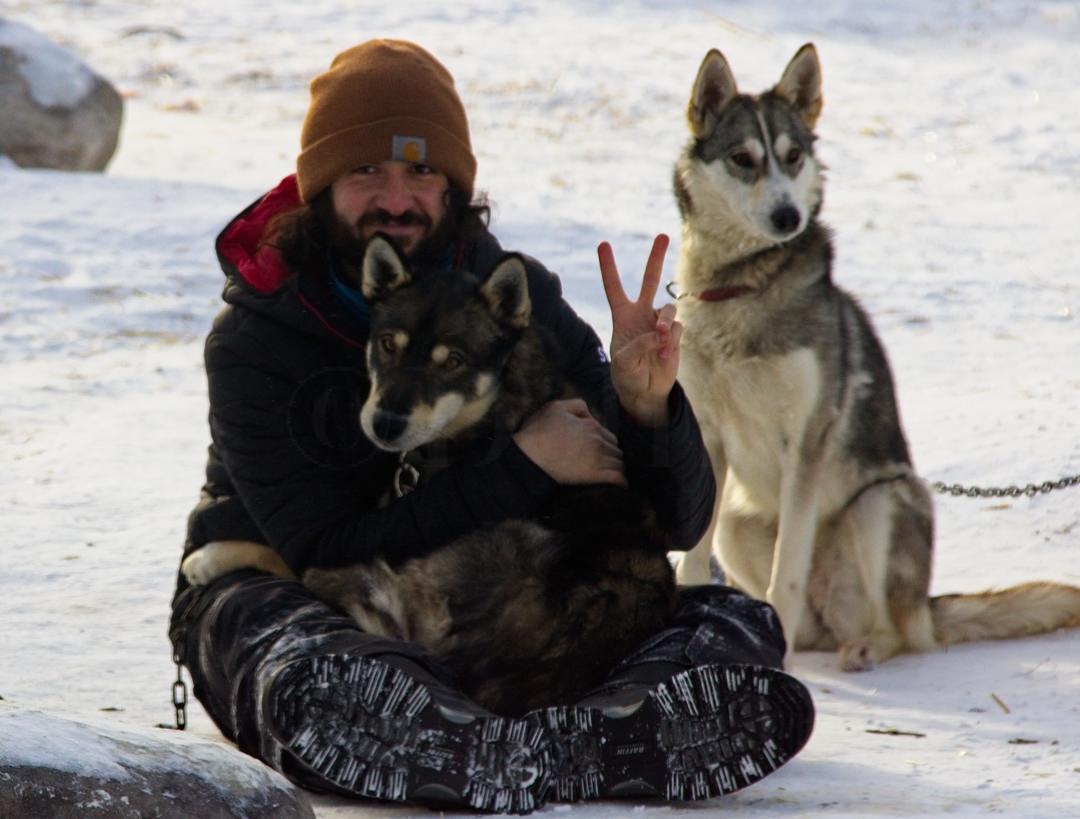 Churchill Musher_Sled Dog2628.jpg
