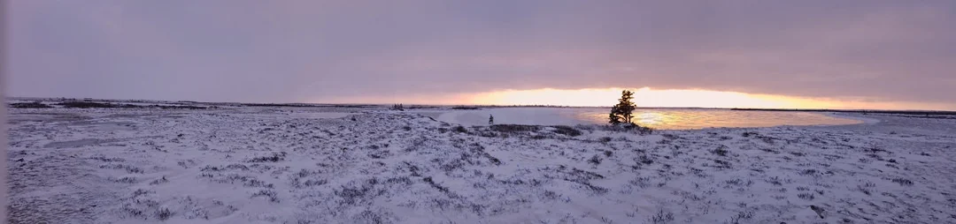 Tundra Panorama20171108_152047 (1).jpg