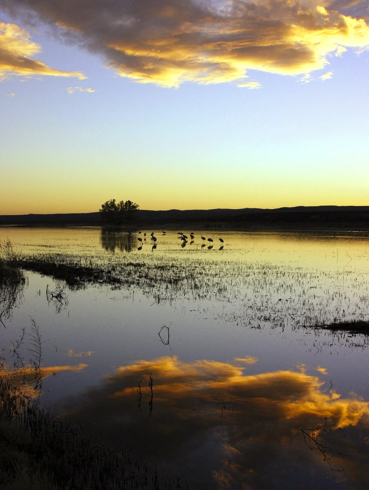BosquedelApacheNWR_Sunsset_9635.jpg