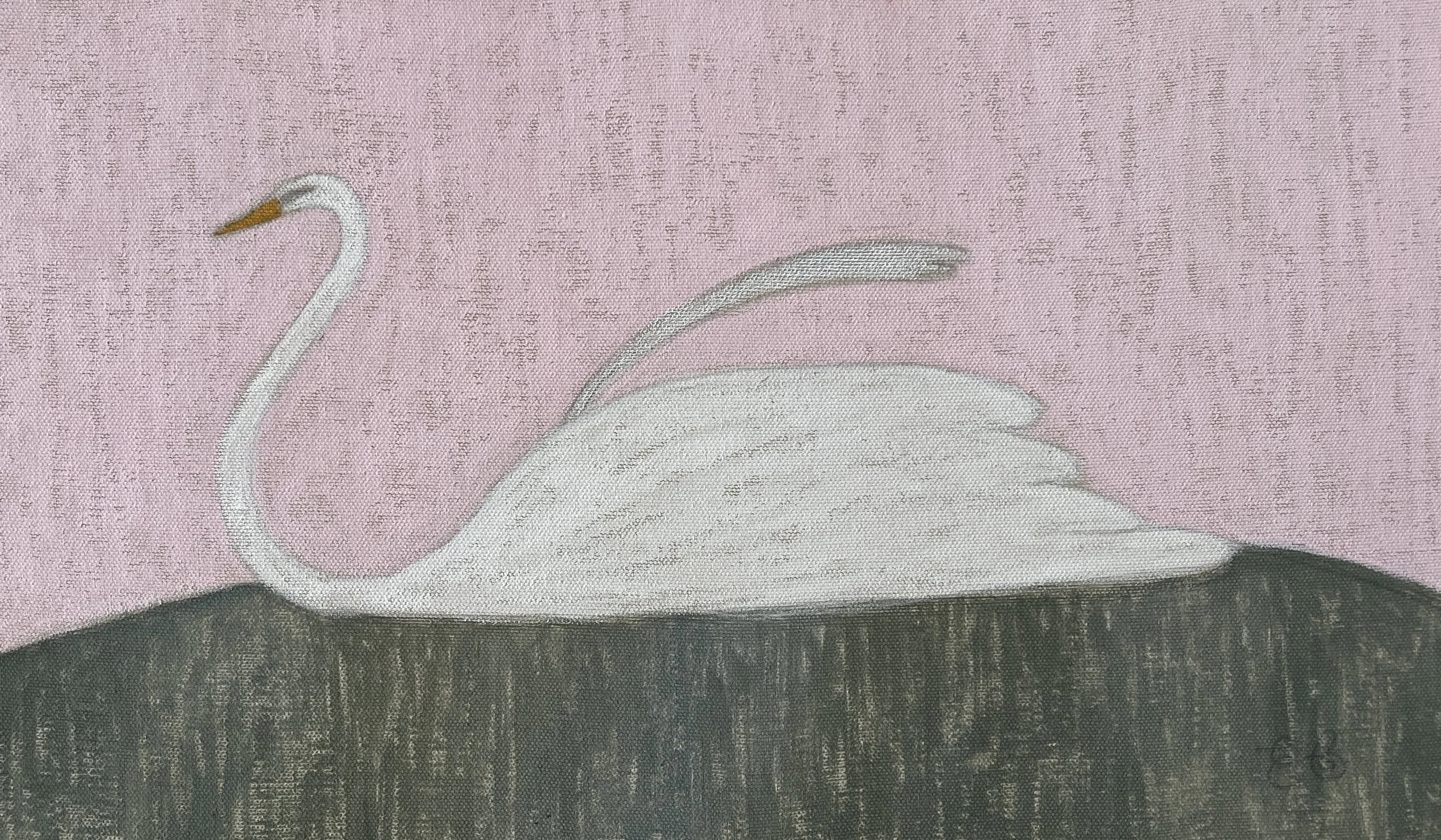 Celia Swan.jpg