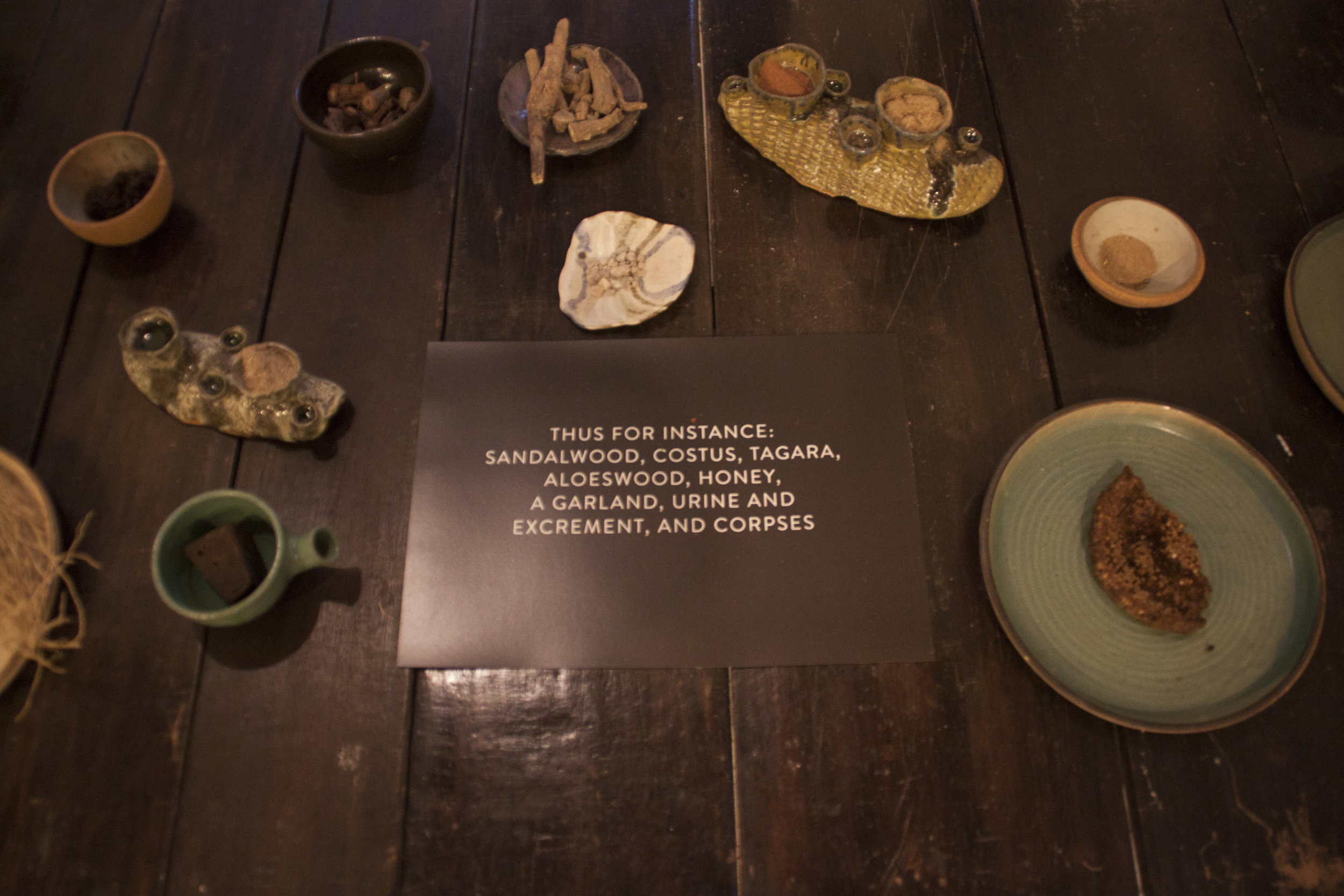 Jahnvi Dameron Nandan (FR/IN)