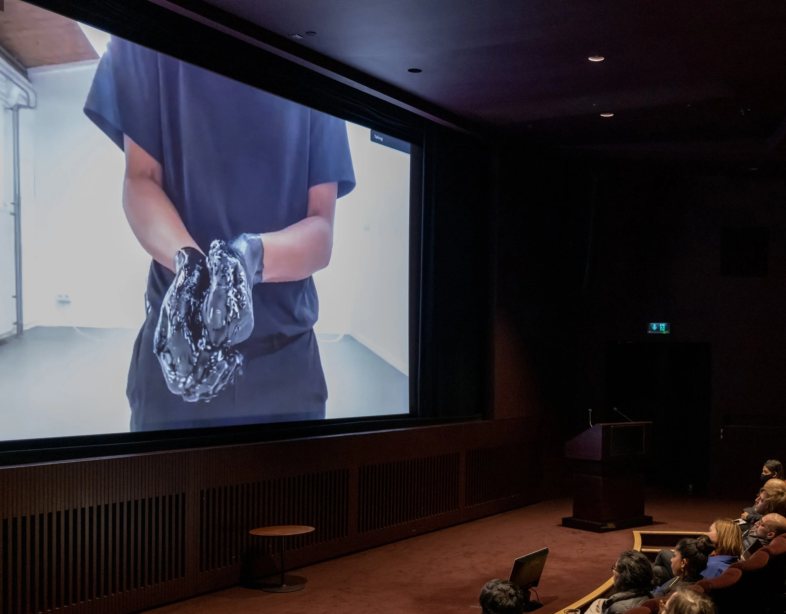 Tate_Modern_Fugitive_Forms-407 copy copy.jpg