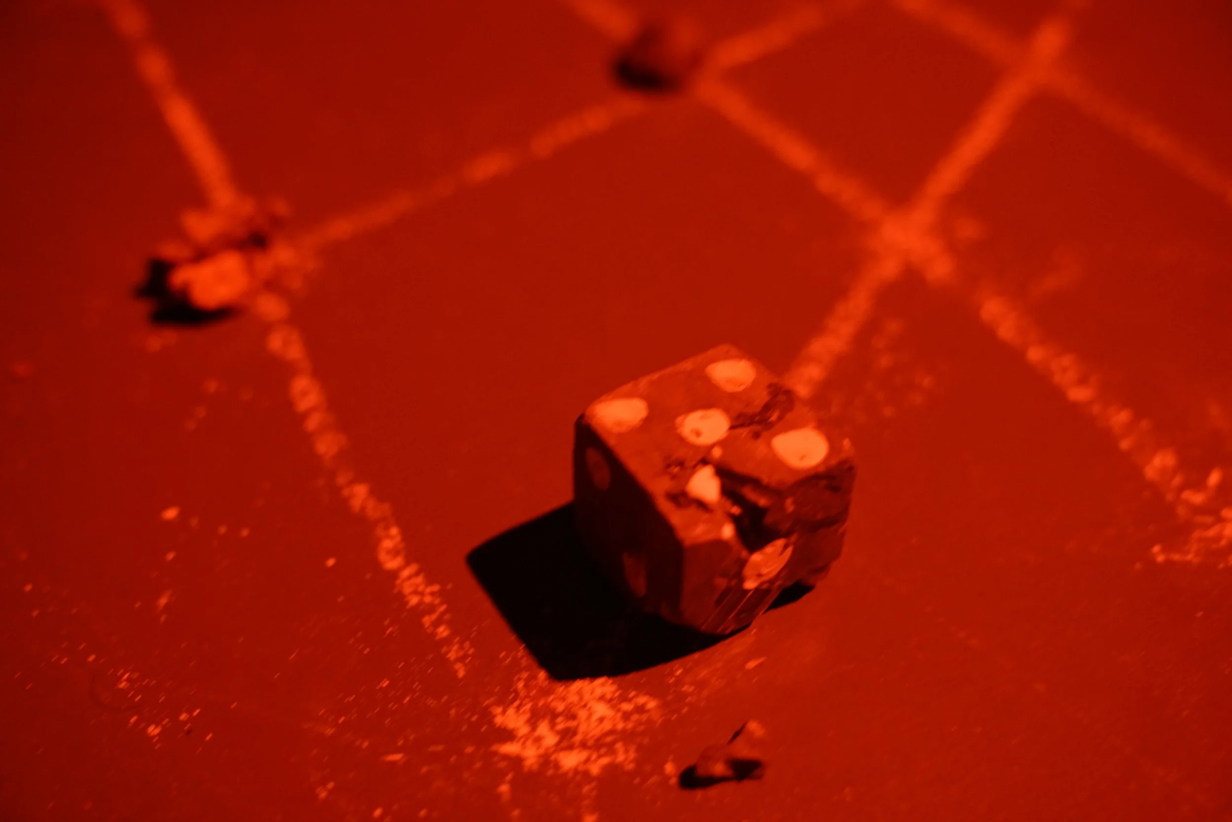DSC08593.JPG