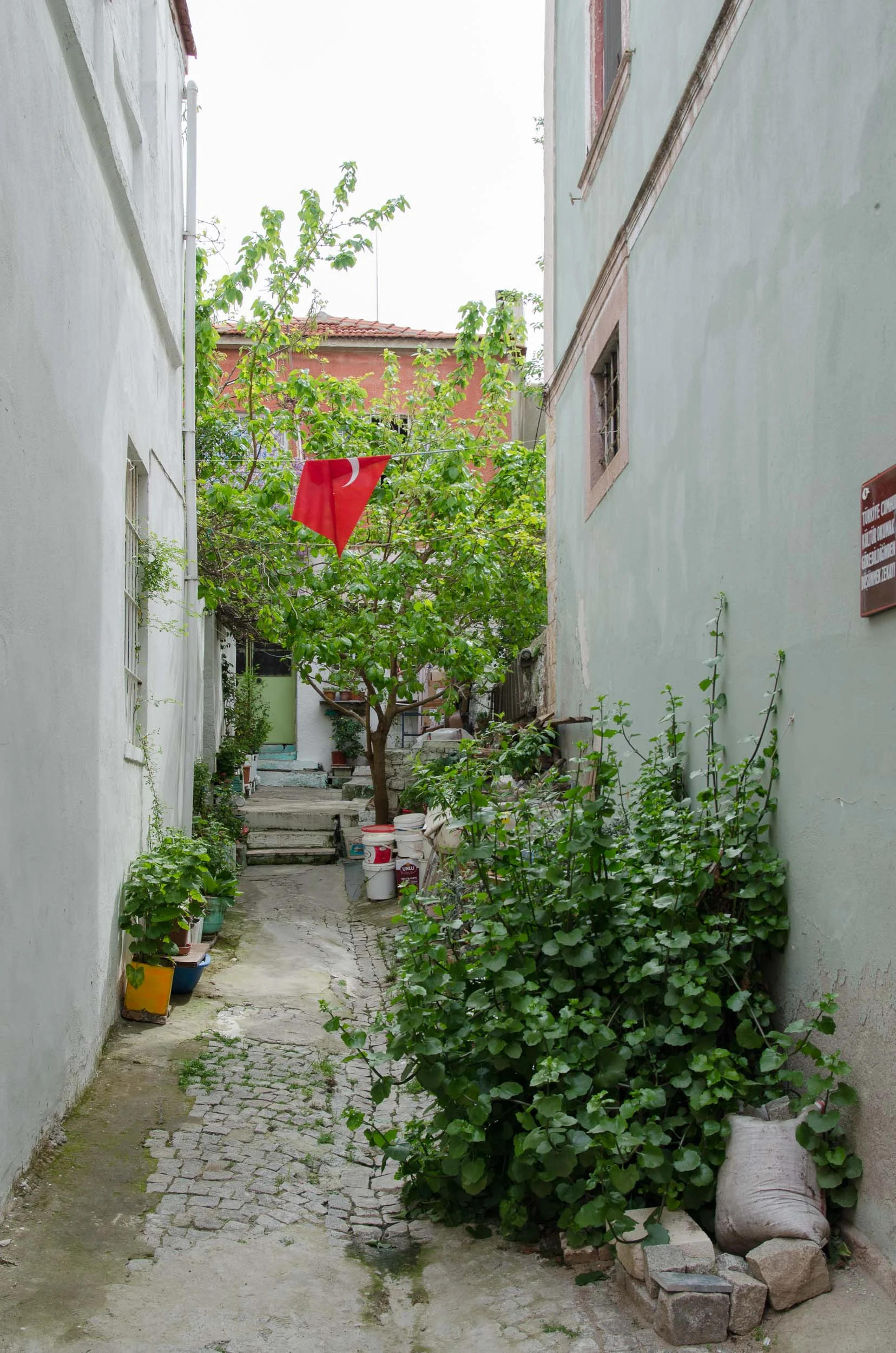 no_e.turkey.2014-41.jpg
