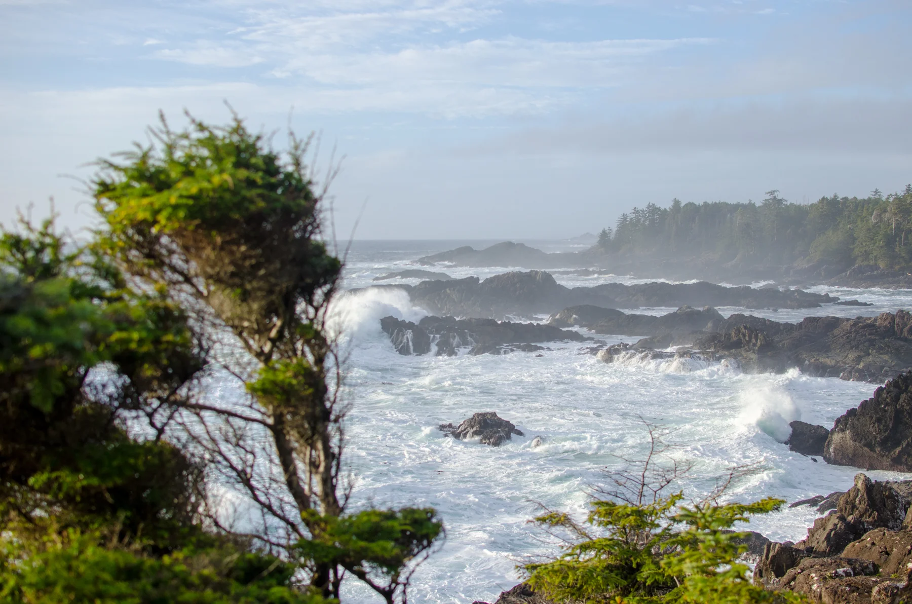 DSC_0244.jpg