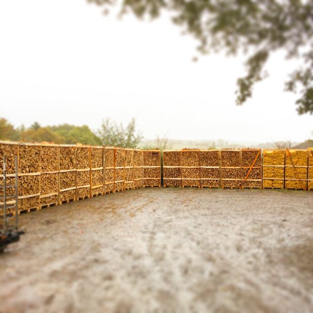 Logs