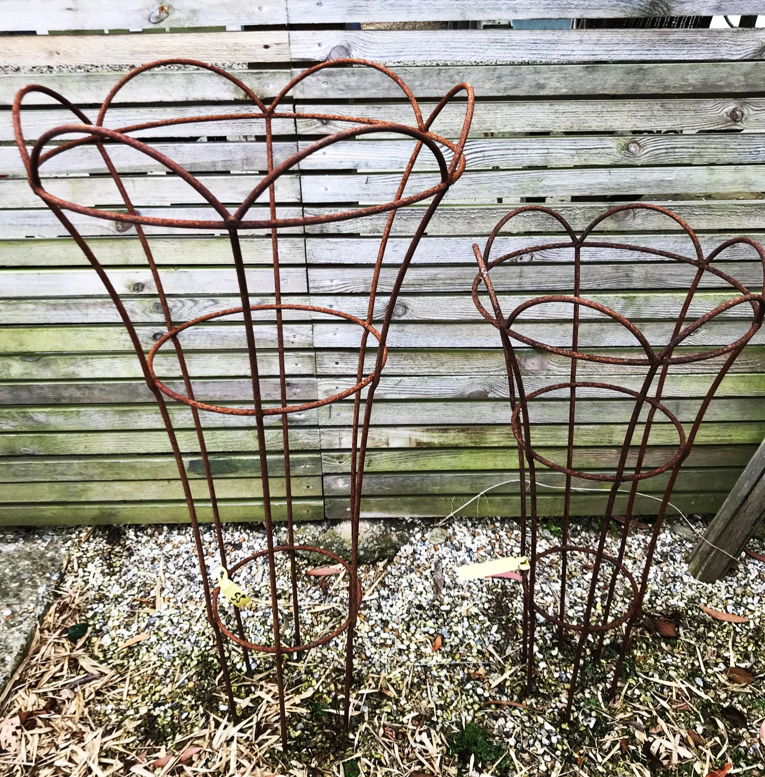 Rusted Plant Supports