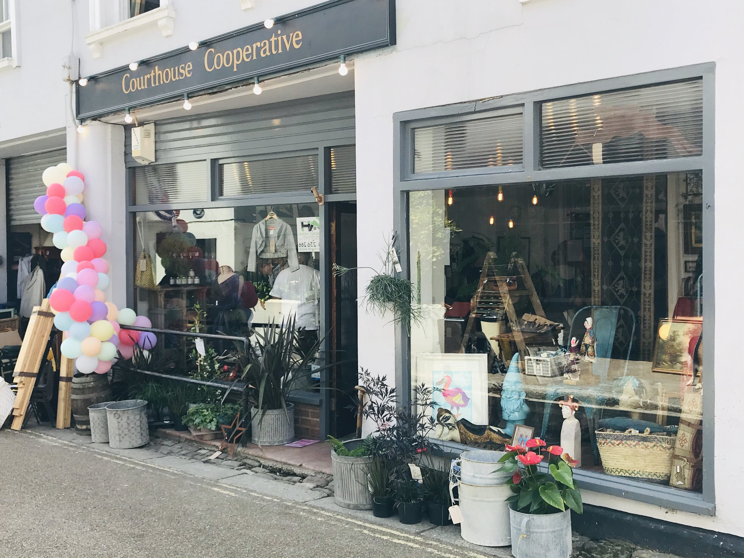 Courthouse Collective, Hastings — Harborough Nurseries