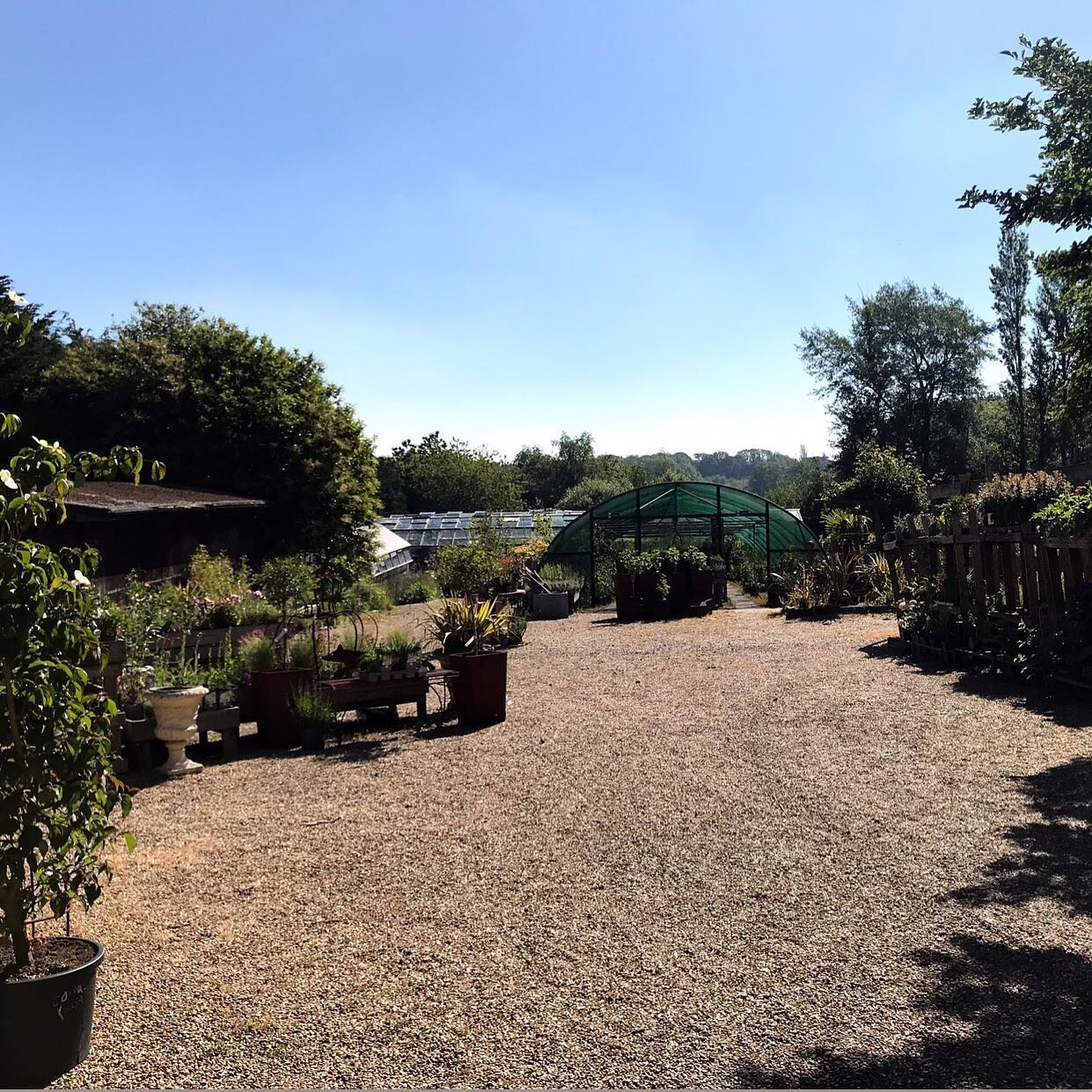 A beautiful July day at the Nursery @harboroughnurseries ( this shot was taken last month for you eagle-eyed weather observers  so there&rsquo;s a few more #cirrus clouds in the sky ! ) but the sun is out and we&rsquo;re looking forward to a full day