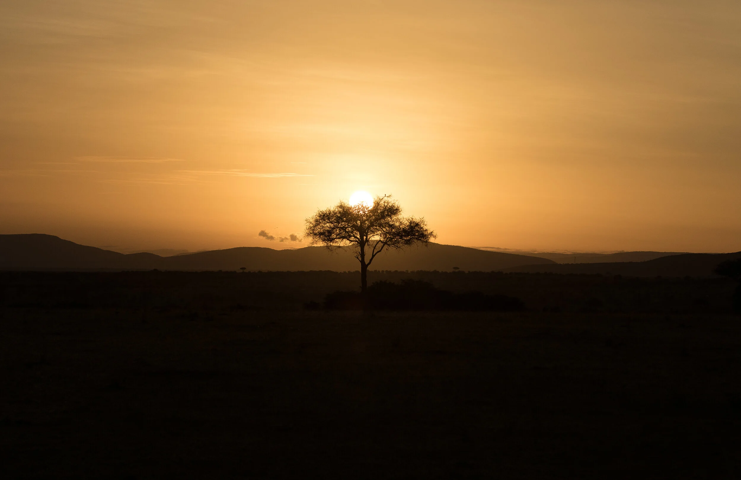 Sunset 11x17.jpg