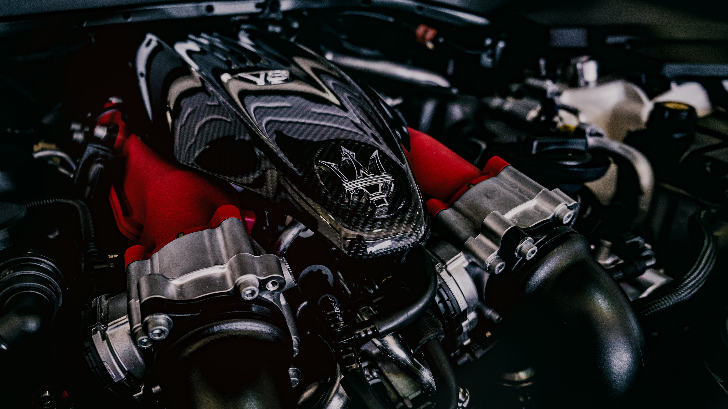 ALFA3026-Edit.jpg