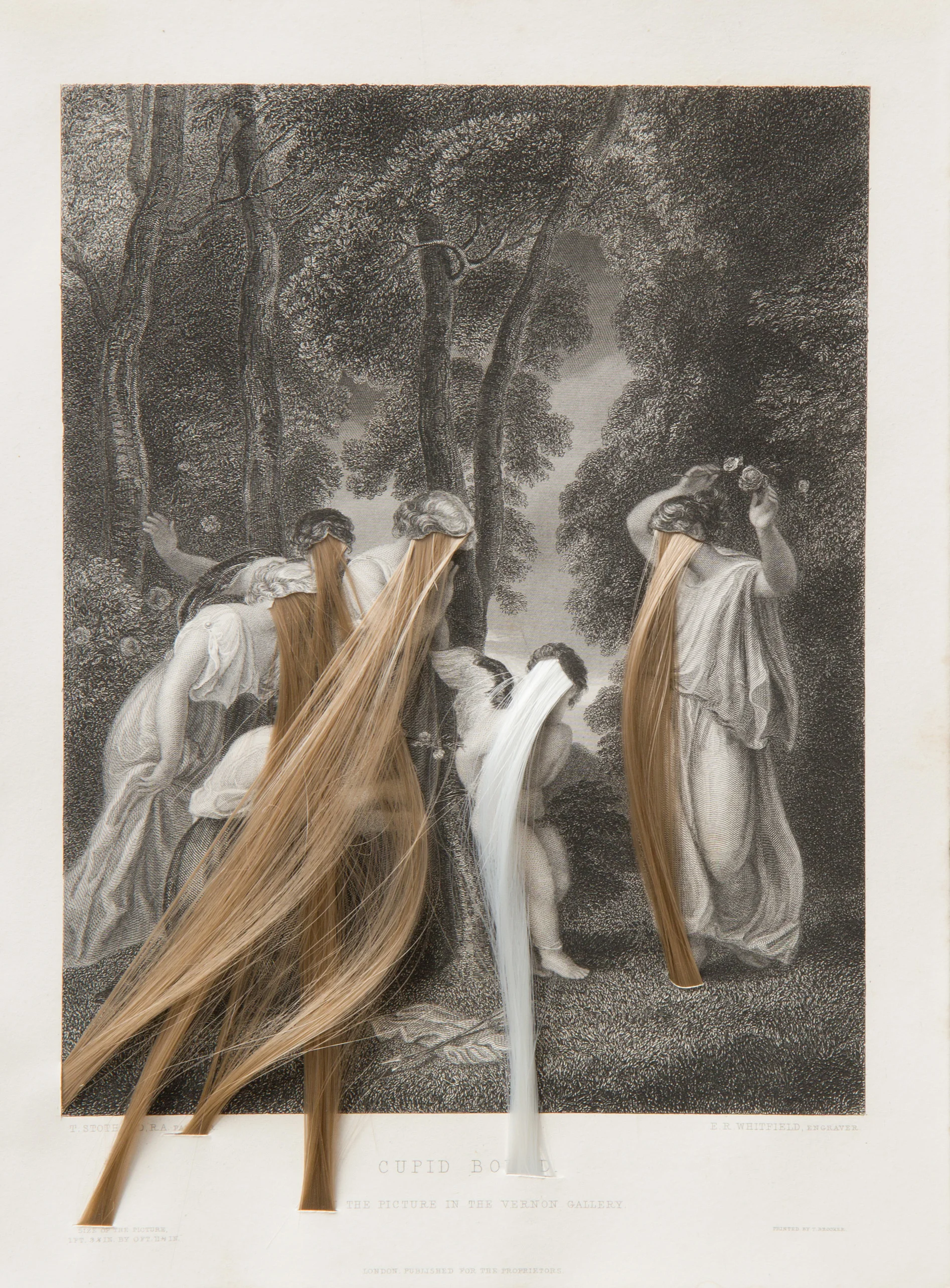 Cupid’s Tresses, 2018