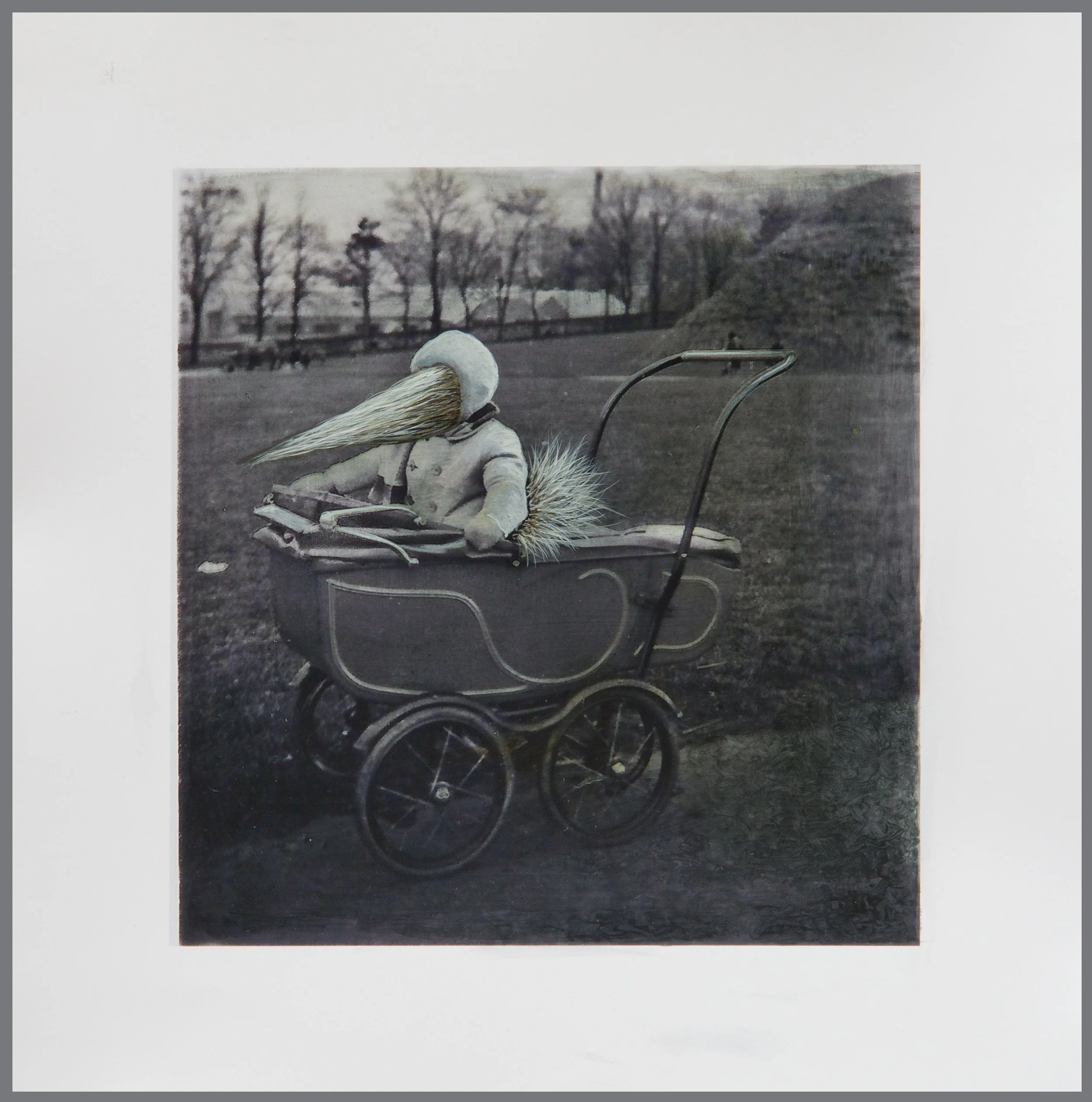 Pileous Pram, 2018