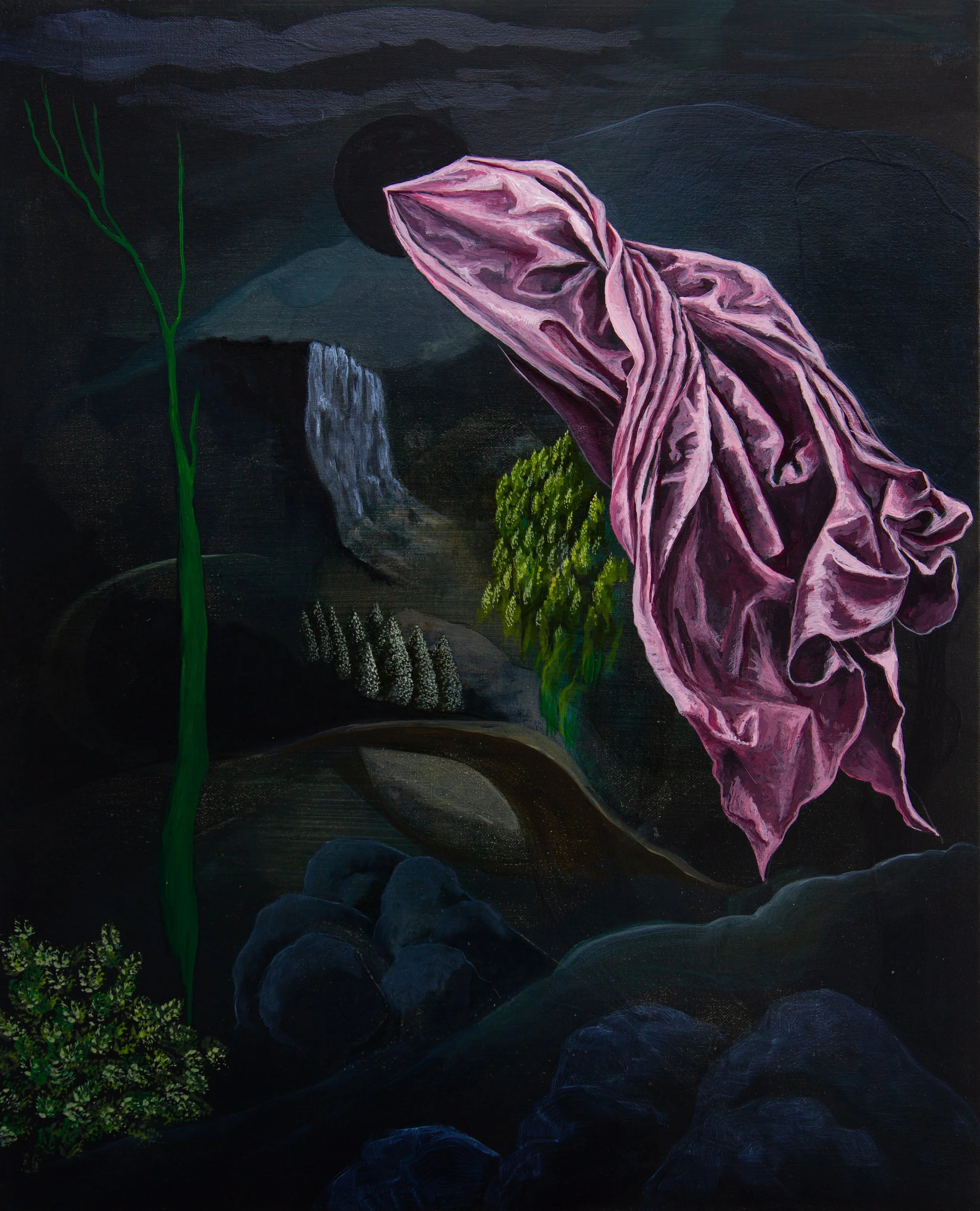 Cloaked Landscape 40x50cm 2025