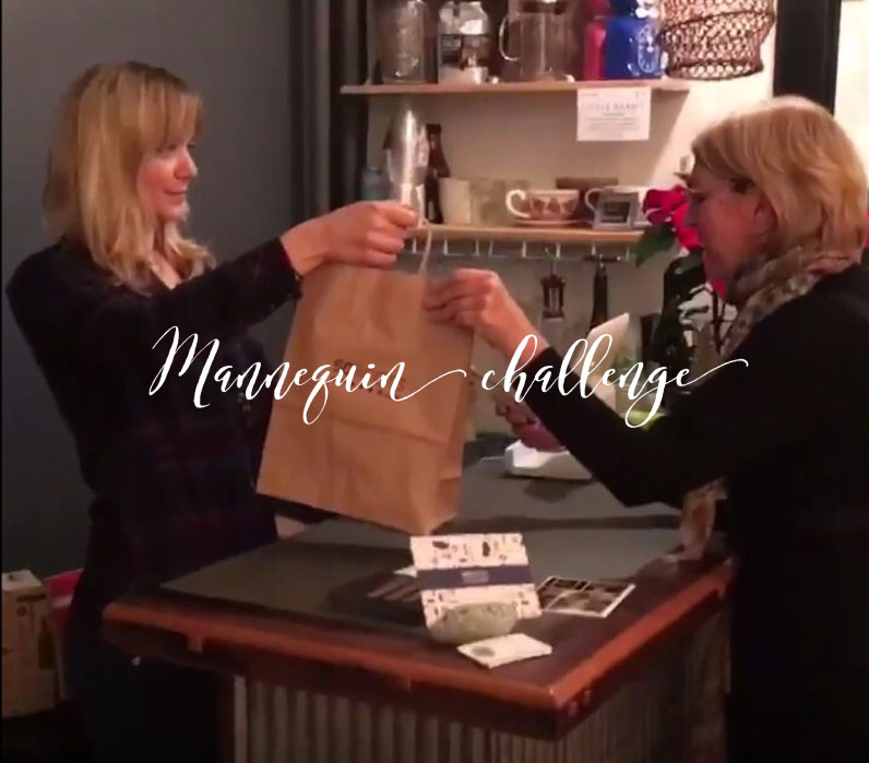 So Many Creative Ways to Film a Mannequin Challenge — Tin Shingle