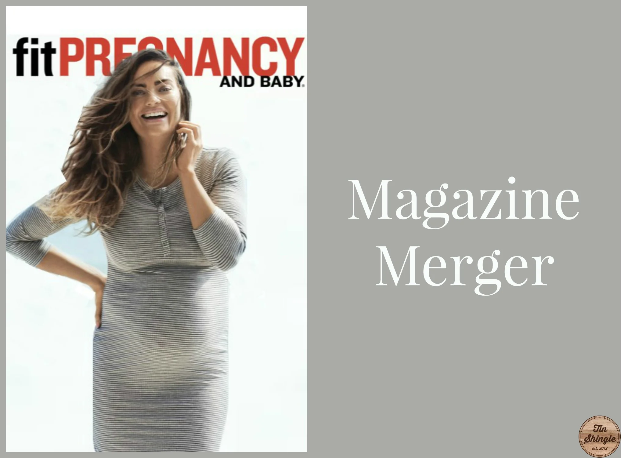 Fit Pregnancy Baby Magazine Closes But Merges In Print With Parent S Magazine Tin Shingle