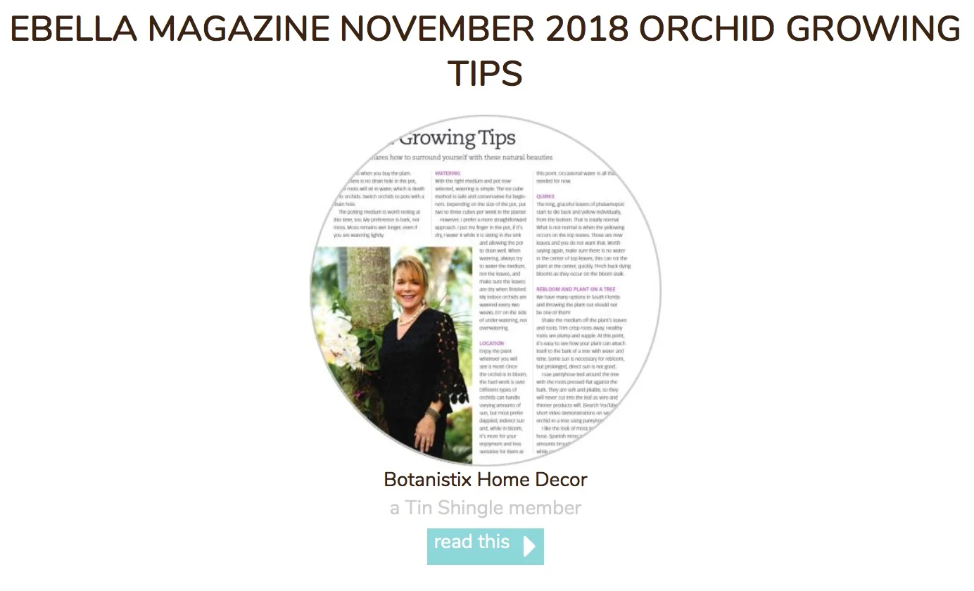 christi ebella november 2018 growing tips.jpeg