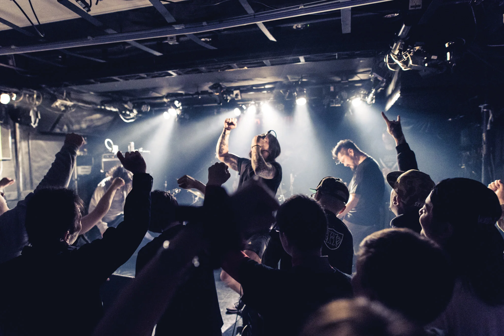 _D810770.jpg
