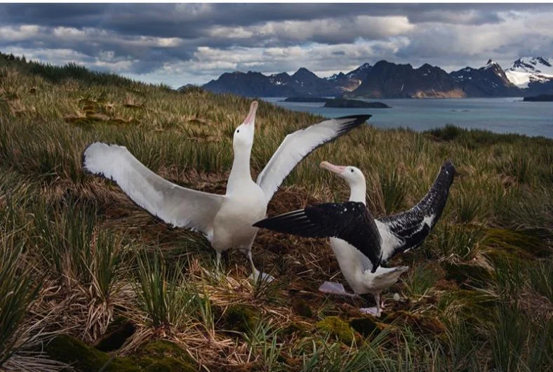 Source: Discover wildlife