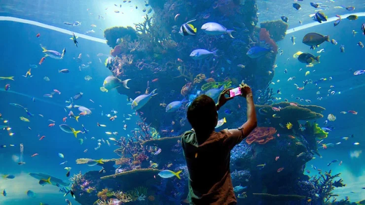 Source: Visit Singapore