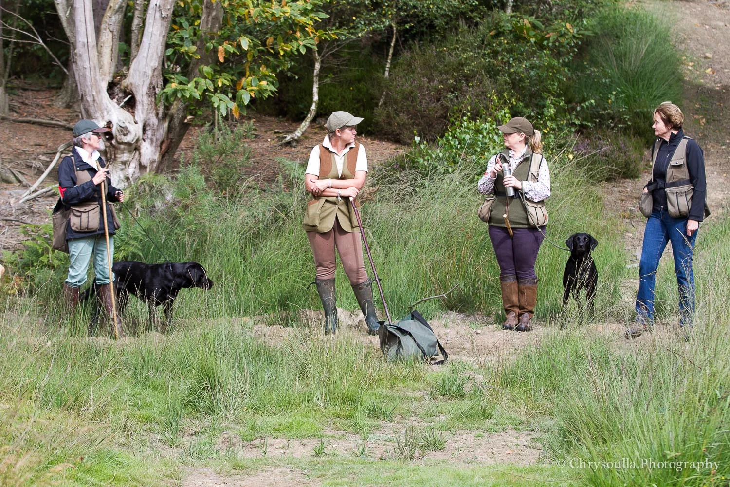 DogTrainingck20160820-CKIMG_2305.jpg
