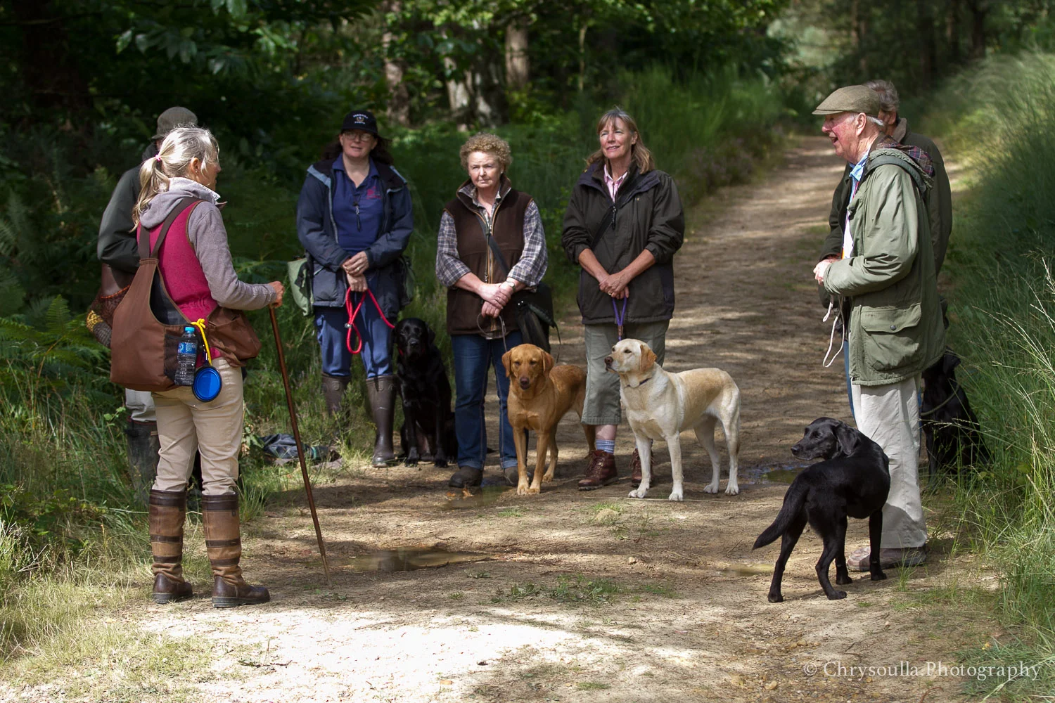 DogTrainingck20160820-CKIMG_3089.jpg