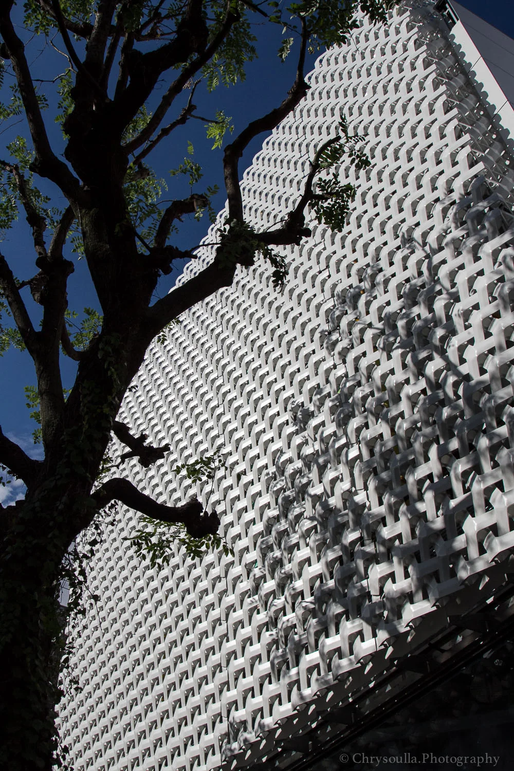 Tokyo Architecture